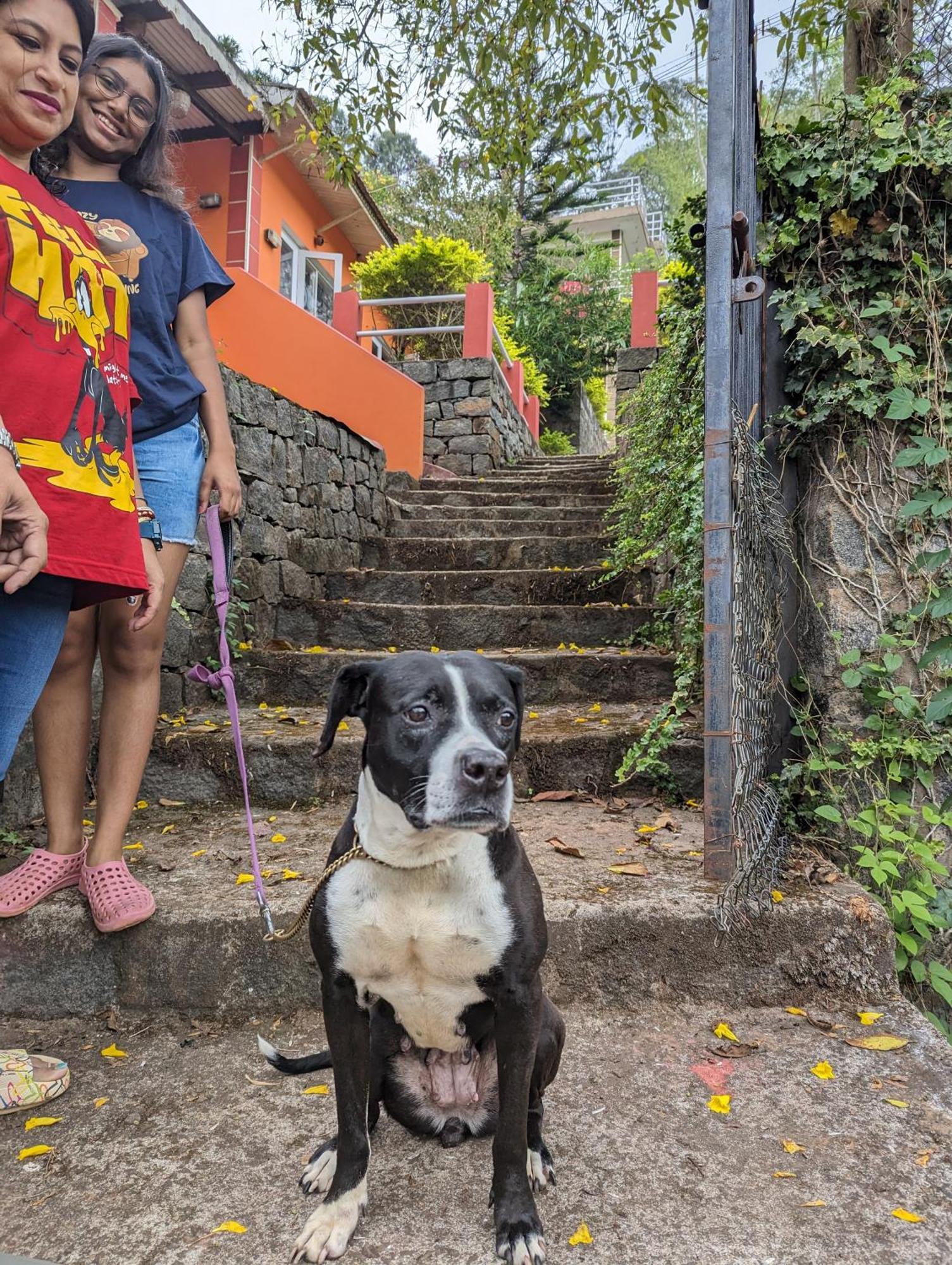 Ghar Homestay, Kotagiri Extérieur photo