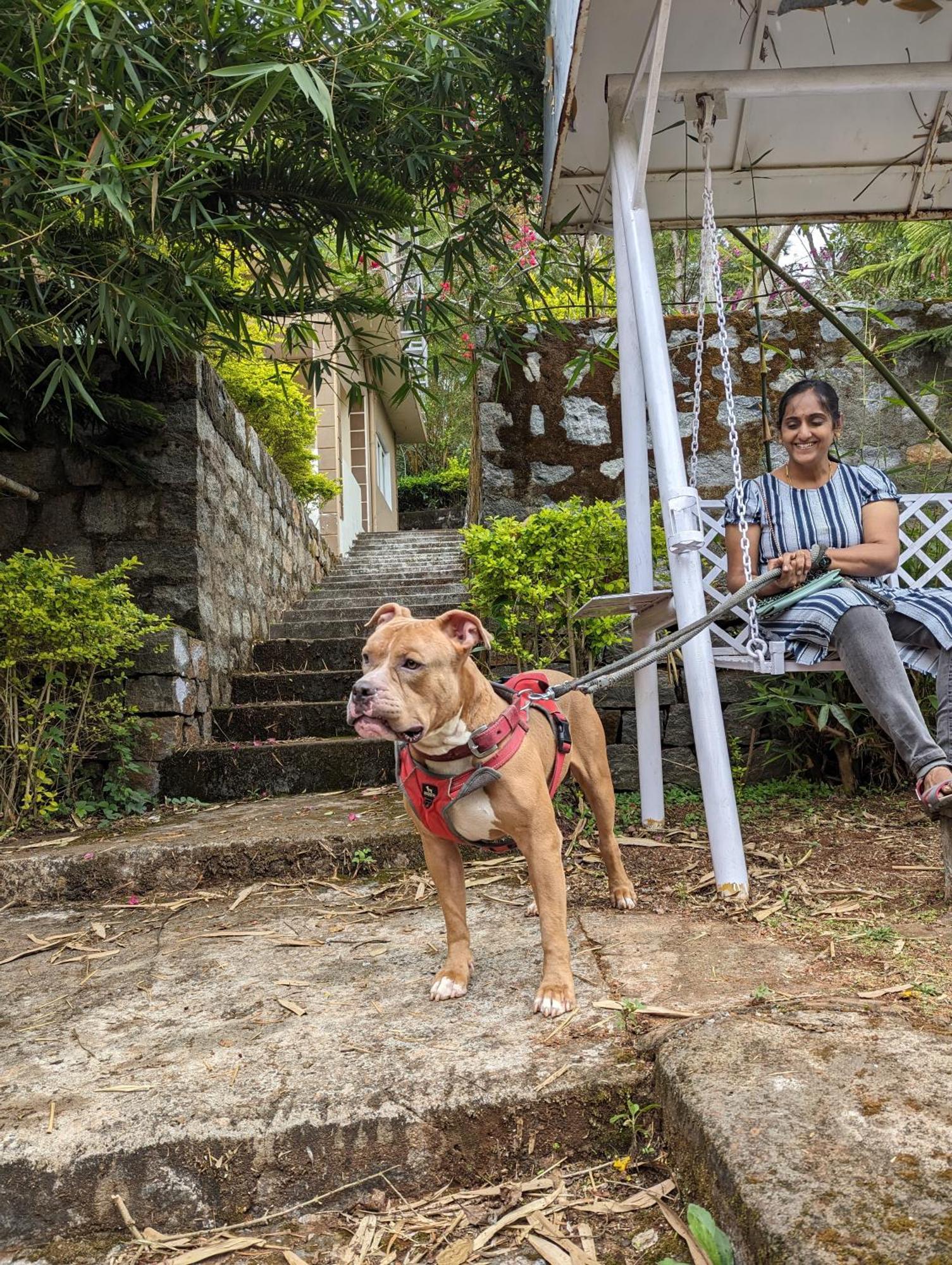 Ghar Homestay, Kotagiri Extérieur photo