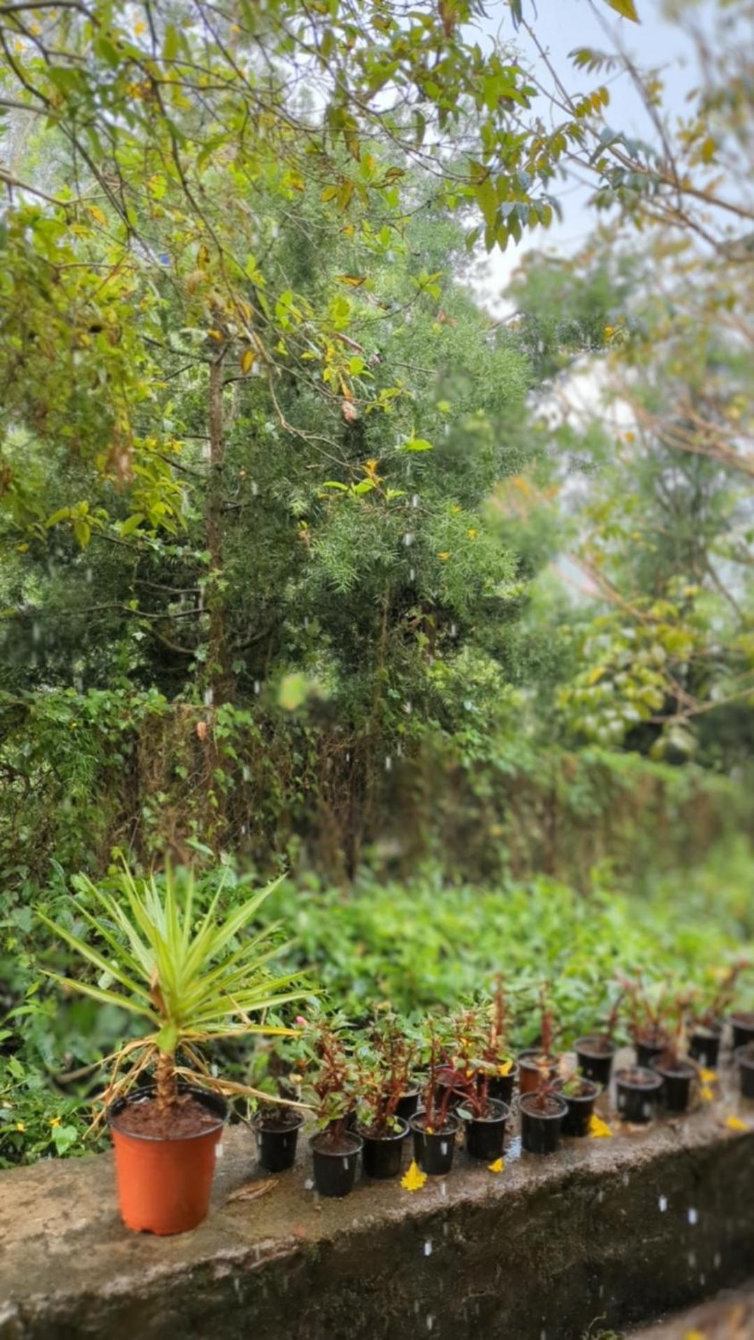 Ghar Homestay, Kotagiri Extérieur photo