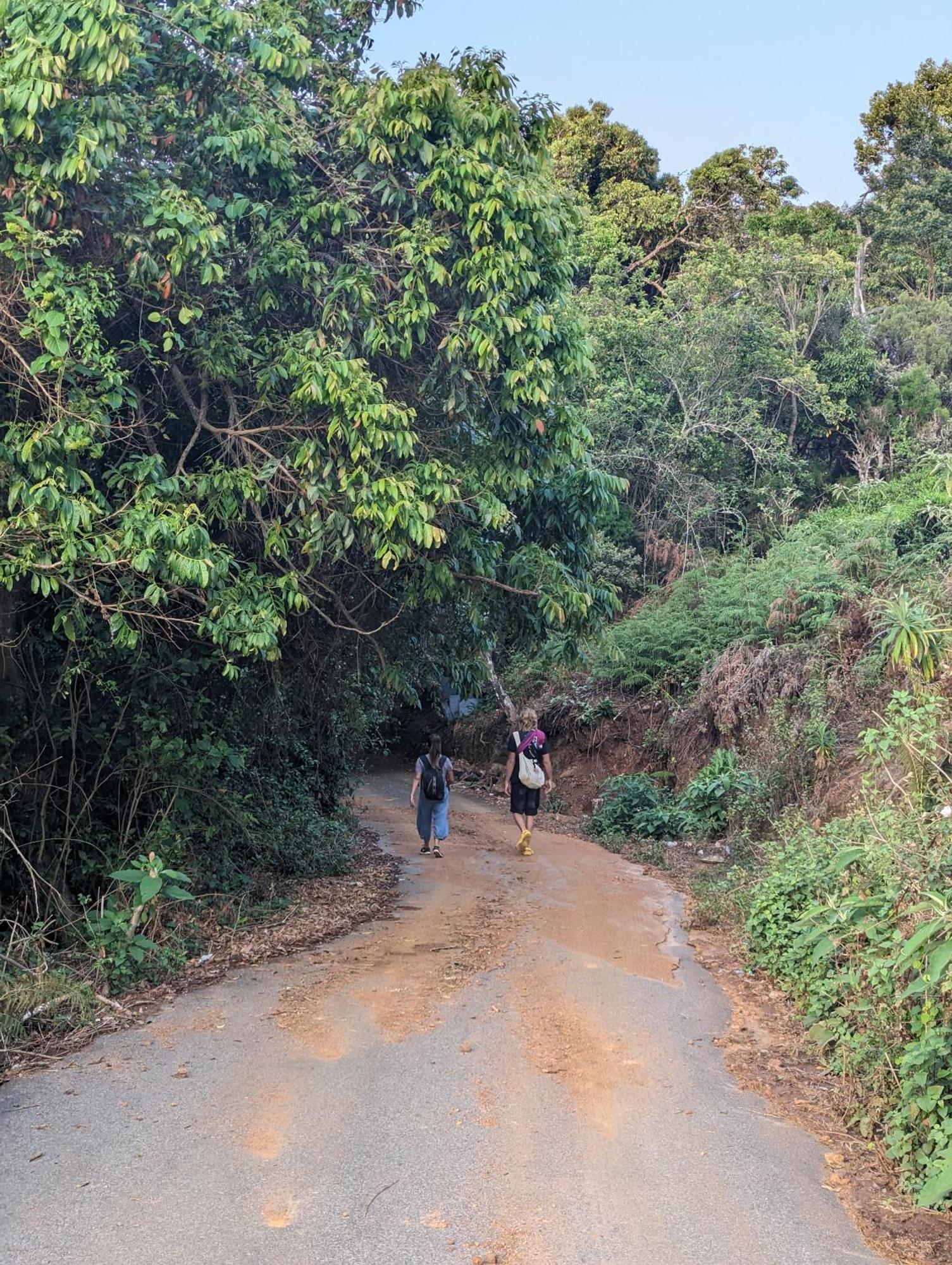 Ghar Homestay, Kotagiri Extérieur photo